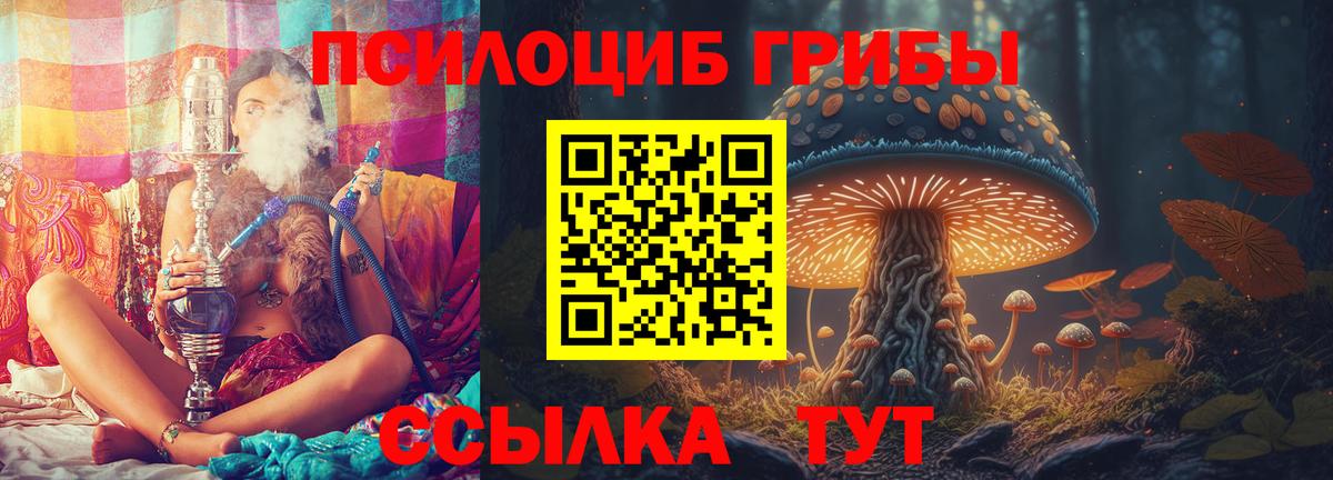 Псилоцибиновые грибы ЛСД  Псилоцибиновые грибы Cubensis  Вход с VPN  Балашов 
